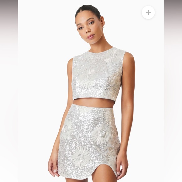 Elliatt Dresses & Skirts - elliatt caledonia silver sequin floral beaded mini skirt + crop top set small